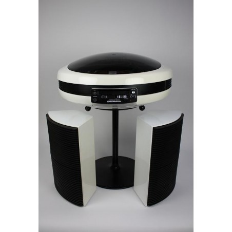 Paire D'enceintes Vintage Weltron 2006 – Rares, Fonctionnent, état Variable