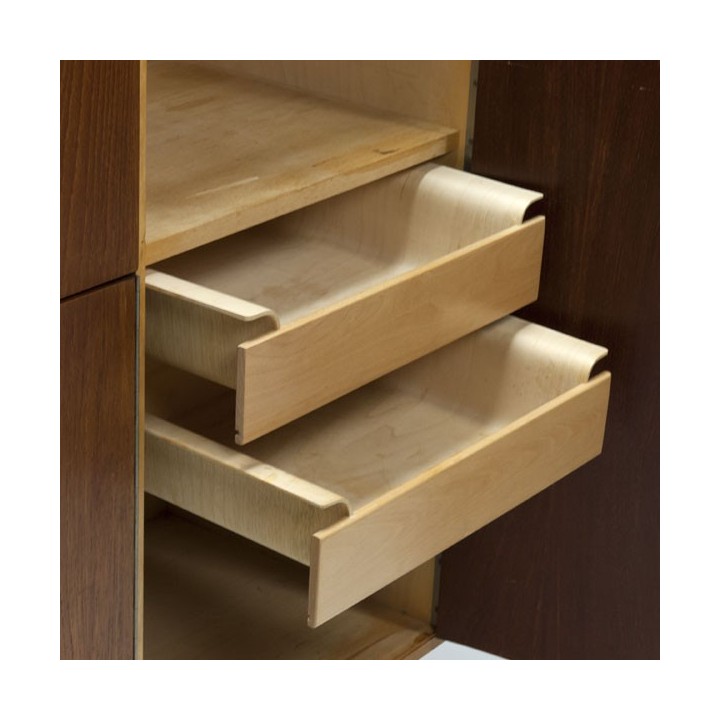 Pastoe cabinet by Cees Braakman - Retro Studio