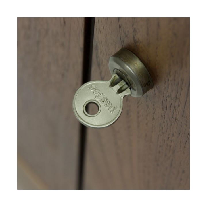 Pastoe cabinet by Cees Braakman - Retro Studio