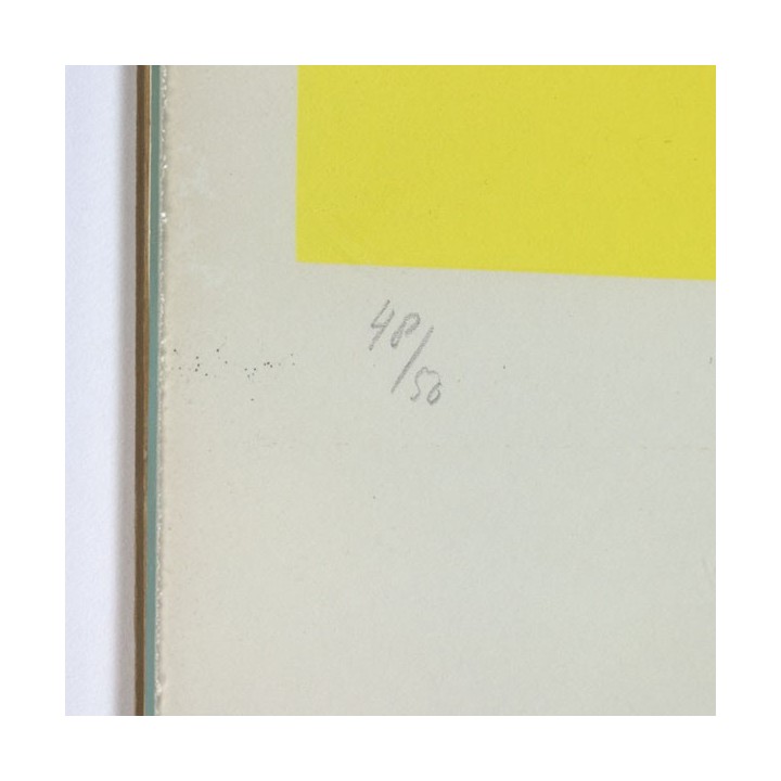 Silkscreen by Rob Schotman ' Circum centrisch' - Retro