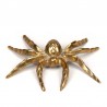Brass small vintage statue of a spider