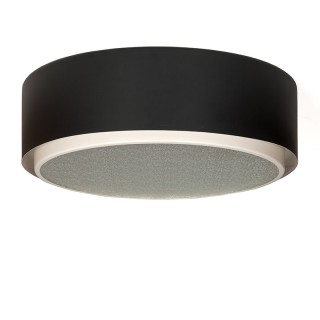 Raak Amsterdam vintage ceiling lamp model P-1474