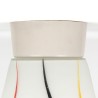 Vintage 1950s ceiling lamp decorated in white frosted glass